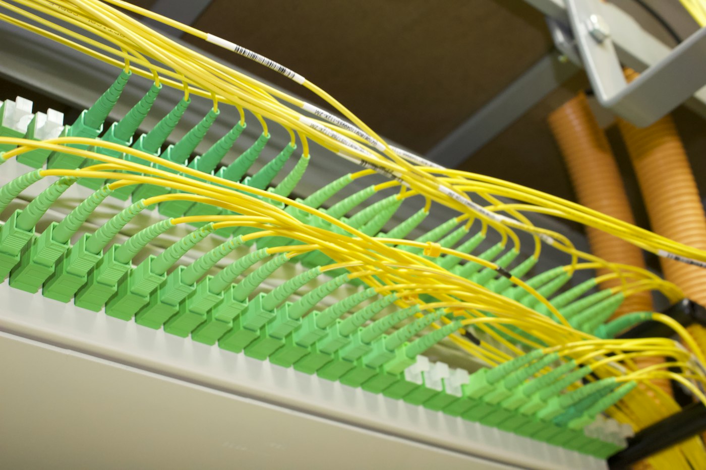 Conectores de fibra óptica organizados en un panel de red